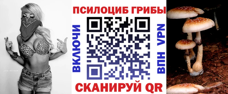 Галлюциногенные грибы Magic Shrooms  продажа наркотиков  Сысерть 